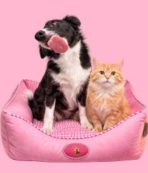 Cama Pet Quadrada Para Cachorro e Gato