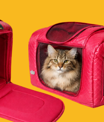Bolsa De Transporte Pet Para Cachorro e Gato