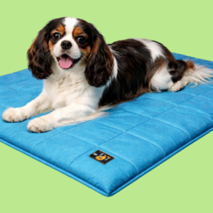 Colchonete Pet Para Cachorro e Gato