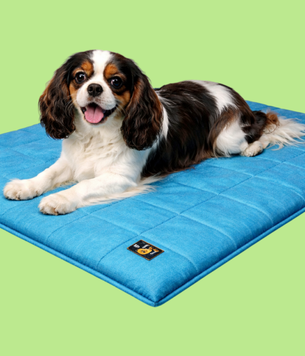 Colchonete Pet Para Cachorro e Gato